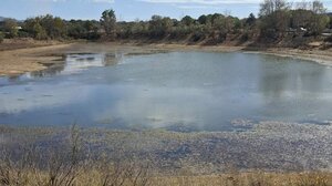 Δραματική η κατάσταση με το νερό - "Έπιασε" πάτο και η Λίμνη του Θραψανού - Βίντεο και φωτογραφίες