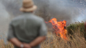  Λαϊκή Συσπείρωση: Παρέμβαση για την πυρκαγιά σε Φοινικιά-Μαλάδες