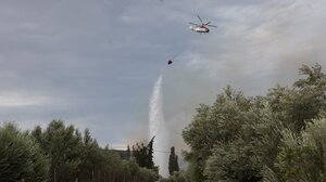 Η φωτιά "ανέδειξε" τα προβλήματα σε Φοινικιά - Μαλάδες