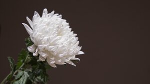 Θλίψη στα Χανιά για την απώλεια της Αριστέας Μησιακούλη