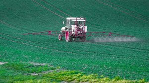 Ημερίδα για την υγεία, τη χρήση φυτοφαρμάκων και την προστασία του περιβάλλοντος