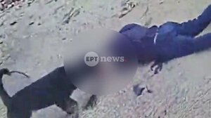 Καλαμάτα: Η στιγμή της επίθεσης του ροτβάιλερ στον ιδιοκτήτη του – Είπε ο ίδιος στον αστυνομικό να πυροβολήσει