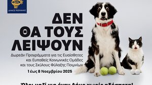 Ρέθυμνο: Δωρεάν στειρώσεις για ζώα συντροφιάς ευπαθών κοινωνικών ομάδων