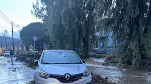 Με ψηφιακά μέσα και γρήγορους ρυθμούς προχωρούν οι αυτοψίες μετά το κύμα κακοκαιρίας