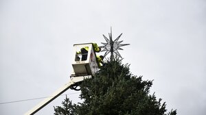 Φωταγωγείται την Πέμπτη το χριστουγεννιάτικο δέντρο της Αθήνας στο Σύνταγμα