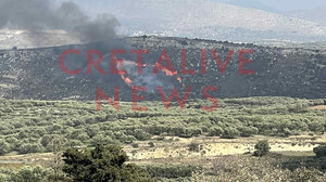 Υπό μερικό έλεγχο η φωτιά κοντά στον Γαλατά - Δείτε εικόνες