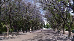 Καιρός: Τοπικές βροχές και πτώση θερμοκρασίας 