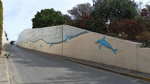 Το τραγούδι των δελφινιών 