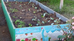 «Βιώσιμες Βιβλιοθήκες»: Έτοιμος ο λαχανόκηπος στην παιδική κι εφηβική βιβλιοθήκη Σούδας