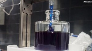 Το ελληνικό "Μπλε Μέλι" που τρελαίνει την Ευρώπη - 15 φορές πιο πλούσιο σε πρωτεΐνη