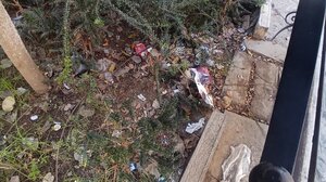 Γέμισαν σκουπίδια τα παρτέρια στην πλατεία του Αγίου Τίτου