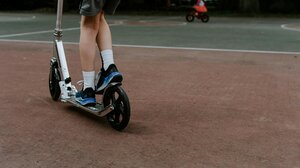 Πατίνια: Μία… αυτοκρατορία που κρύβει απειλές αλλά δίνει και λύσεις