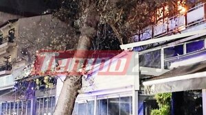Ηγουμενίτσα: Τεράστιος πλάτανος έπεσε σε επιχείρηση λόγω των ισχυρών ανέμων