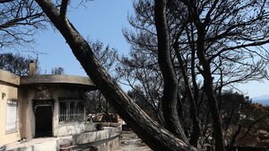 Επιζήσασα από την τραγωδία στο Μάτι για την "Ιθάκη": "Ο κ. Τσίπρας δεν θα μας δώσει ποτέ απαντήσεις"