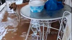 Κακοκαιρία στην Κρήτη: Με τους κουβάδες έβγαζαν νερό από σπίτι στα Χανιά! (βίντεο)