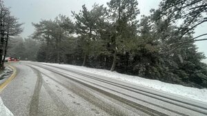 Το «έστρωσε» στα ορεινά της Εύβοιας και την κορυφή της Πάρνηθας