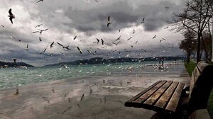 Ο θάνατος χωρίς πατρίδα: 17 χαμένες ζωές και όσα δεν θέλουμε να βλέπουμε