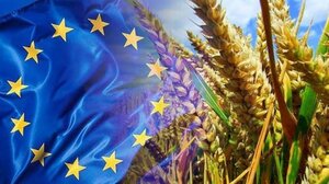 Γεωργία: Διαχρονικά ελλείμματα, διεκδικήσεις, αναγκαιότητα διαφάνειας