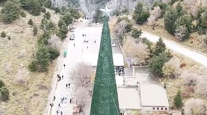 Χανιά: Γιορτινός «καβγάς» κάτω από το χριστουγεννιάτικο δέντρο στο Φαράγγι της Σαμαριάς