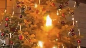 Στην καρδιά των Άλπεων το χριστουγεννιάτικο δέντρο ανάβει όπως πριν από 500 χρόνια