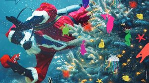  Ο Άγιος Βασίλης θα έρθει και πάλι.... βουτώντας στη δεξαμενή του Ενυδρείου Κρήτης!