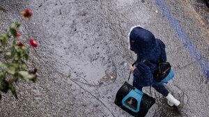 Ισχυροί άνεμοι έως 8 μποφόρ στο Αιγαίο από σήμερα, πώς θα εξελιχθεί ο καιρός μέχρι τα Θεοφάνια