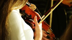 Μουσικά Σχολεία: Νέα μουσικά όργανα και προτάσεις ενίσχυσης της λειτουργίας τους