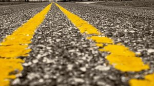 ΒΟΑΚ: Θλιβερή εικόνα με σκοτωμένα ζώα χωρίς καμία μέριμνα απομάκρυνσης