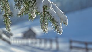  Κρήτη: Το 2026 κάνει ποδαρικό με χιόνια στα ορεινά!