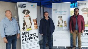  Δήμος Μινώα Πεδιάδας: Ξεκίνησε η μεγάλη δράση στειρώσεων και ταυτοποίησης