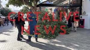 Ηράκλειο: Τμήμα δέντρου έπεσε μπροστά στη Λότζια