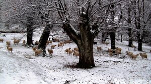 Χωριά, μουσεία και μονοπάτια: Η χειμερινή Κρήτη σε περιμένει