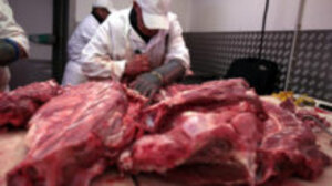 Είχαν στην κατοχή τους νωπά και κατεψυγμένα κρέατα, με πλαστές σφραγίδες