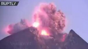 Μελέτη: Τα δέντρα προβλέπουν τις ηφαιστειακές εκρήξεις