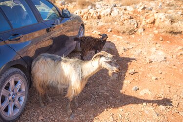 Μπάλος, Κατσίκα, Δρόμος