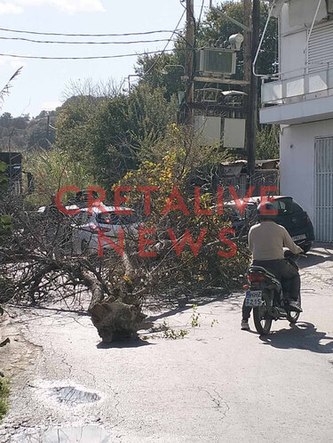 Πτώση δέντρου Ηράκλειο