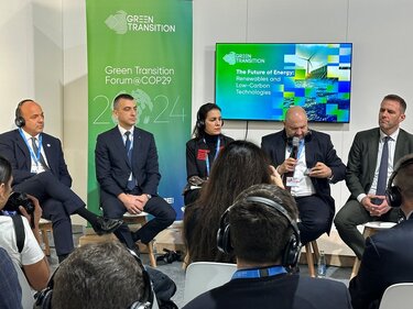 Μαύρος, ΔΕΗ