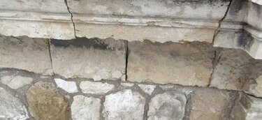 xanioporta fthores15