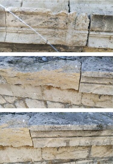 xanioporta fthores...