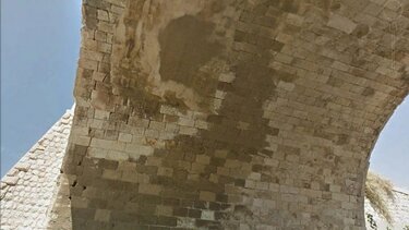 xanioporta rogmes toxoto