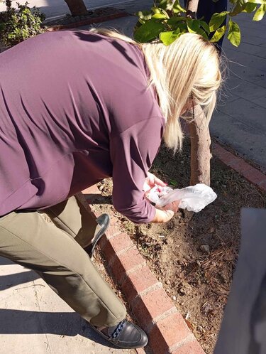 Ζωγραφία Τάκου Αλάτσατα