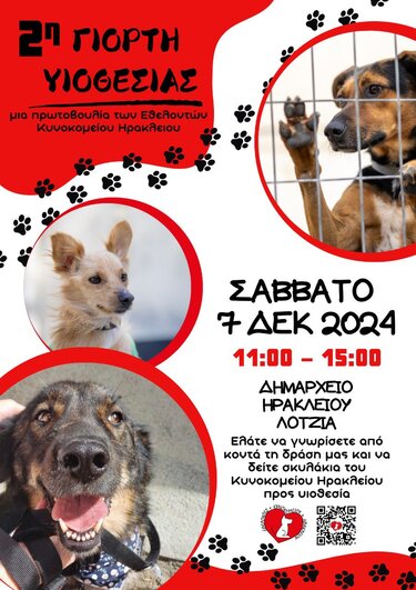 2η γιορτή υιοθεσίαςσ