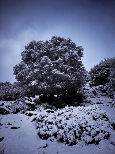 Ανώγεια, χιόνια