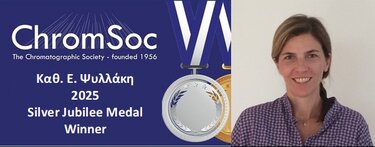 Έλια Ψυλλάκη, Πολυτεχνείου Κρήτης