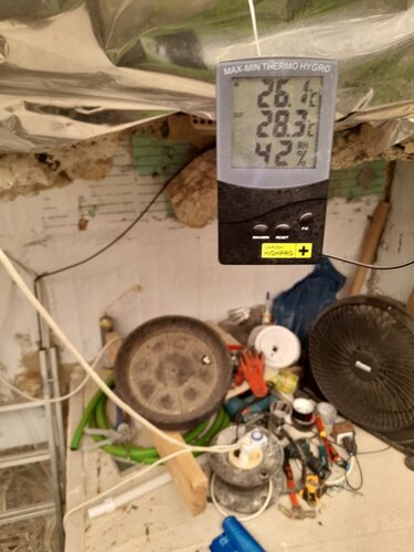 Γιάφκα,Ρέθυμνο, όπλα, ναρκωτικά