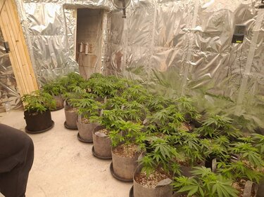 Γιάφκα,Ρέθυμνο, όπλα, ναρκωτικά