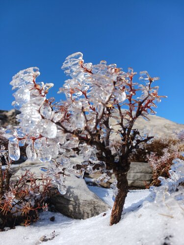 Ψηλορείτης Τίμιος Σταυρός