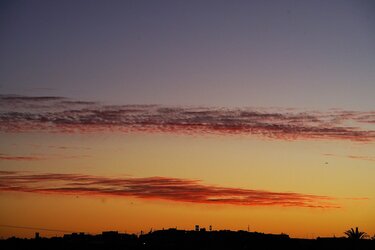 Ανατολή, Τζιγκουνάκης