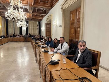 Δημοτικό Συμβούλιο