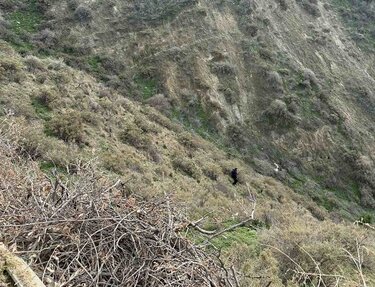 Λοφούπολη, Πτώση, Γκρεμός